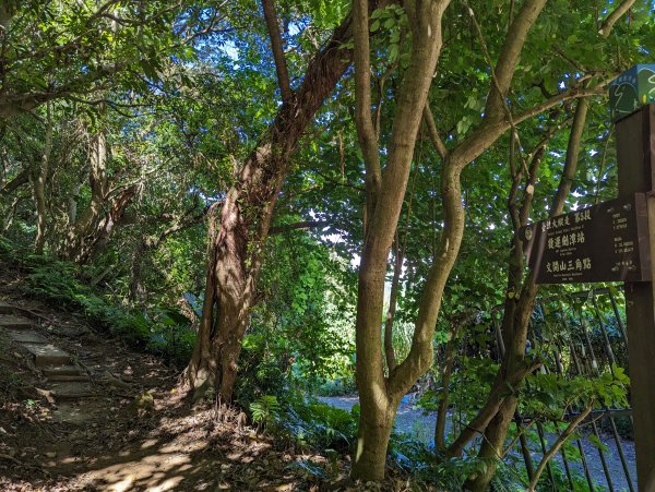 2023-09-28 臺北大縱走第五段2792909