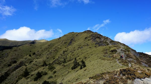 雪季合歡北峰1042027