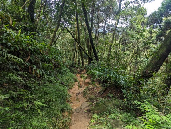 磺嘴山、翠翠谷步道2318173