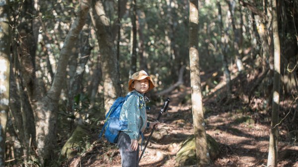 枕頭山古砲台歷史古道O型（含薑母島）2948478