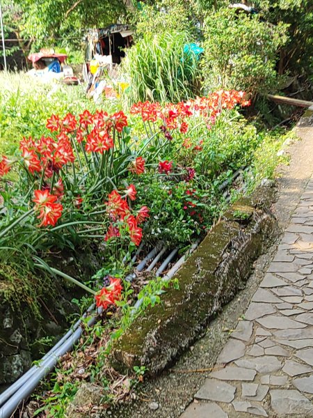 臺北大縱走第一段：關渡至二子坪2790230