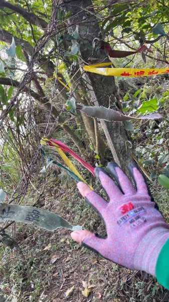 銀河洞越嶺貓空-新高麗坑山-銀獅縱走-猴山岳群峰+三條魚縱走2998268