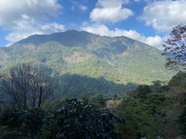 唐麻丹山-松鶴上三角點O型回松鶴2378408