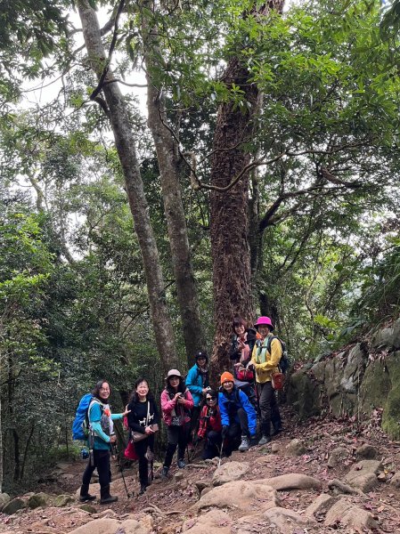 四訪苗栗的花果山-小百岳#037馬那邦山、雪霸國家公園管理處【小百岳集起來、苗栗-臺灣百大必訪步道】2394279