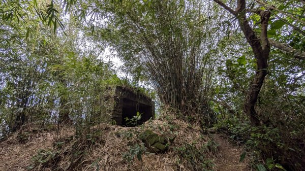 114.12.20劉銘傳隧道-獅球嶺北峰-獅球嶺東砲台山-獅球嶺池-獅球嶺砲台山之旅2966733