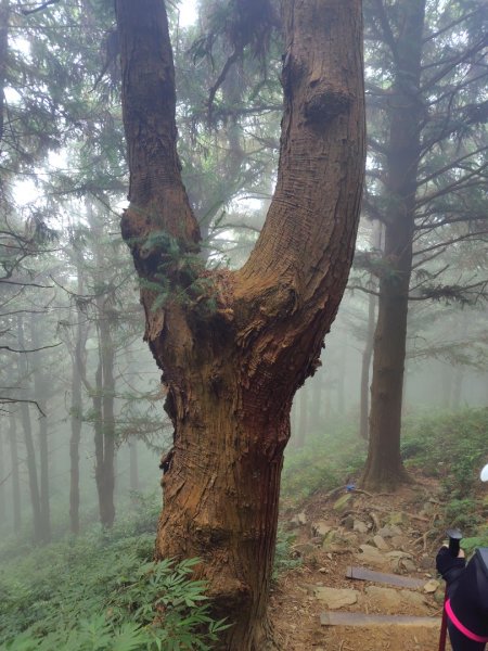 長壽山、肥崠山、醜崠山、大崠山、大崠山經建版2931625