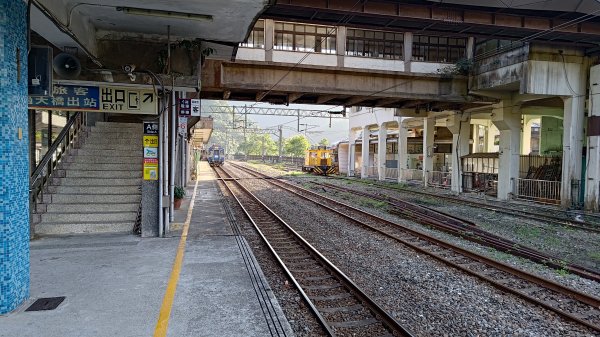 柴寮古道、中坑古道2814642