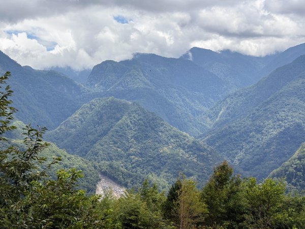 司馬庫斯巨木群登山步道2862127