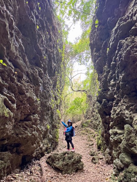 大崗山(小百岳#74)龍盤峽谷一線天2764657