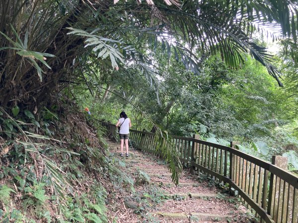 南埔村觀音步道+挑水壢古道2550269