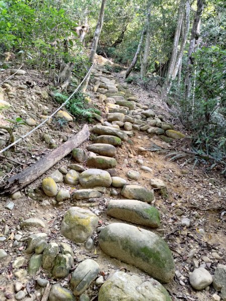 【新竹縣新埔鎮】飛龍步道2833124