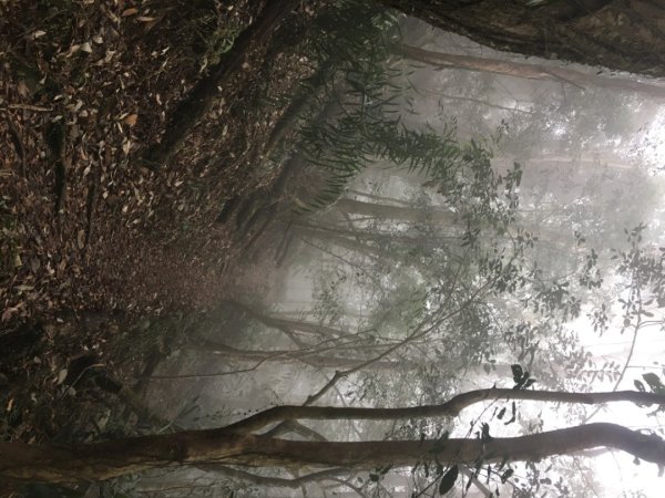 鳥嘴山（上島2708548