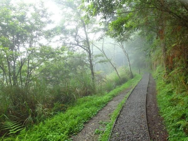 太平山之見晴懷古步道43112