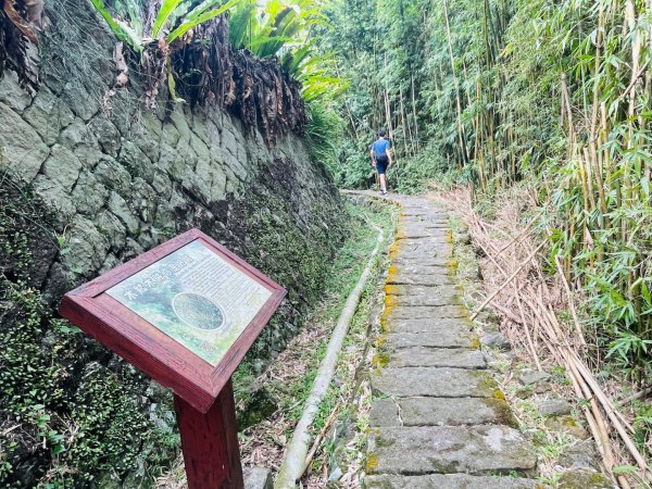 1140926坪頂古圳親山步道2895466