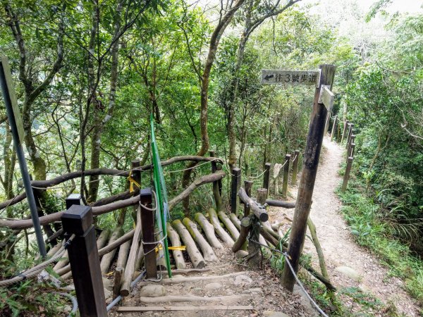 頭嵙山(小百岳#41)大坑4,5,1步道1003700