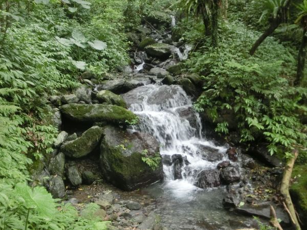 五峰旗瀑布．聖母登山步道198635