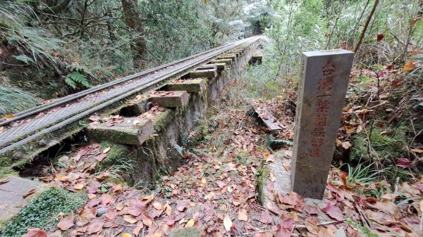 阿里山眠月線2972783