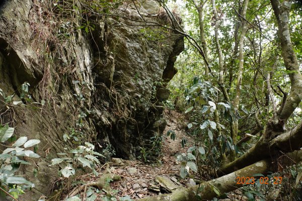 高雄 茂林 德德山2051177