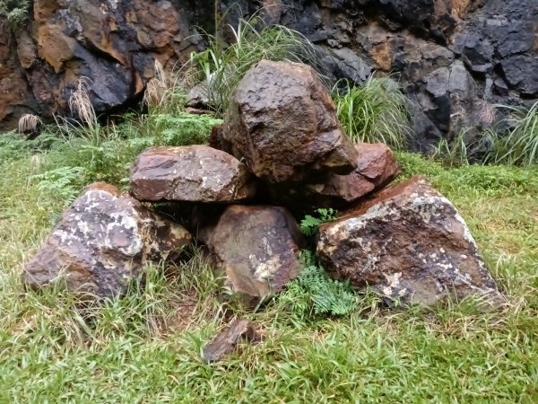 瑞芳區本山地質公園步道+草山公路+百二崁古道+樹梅坪古道O型2945516