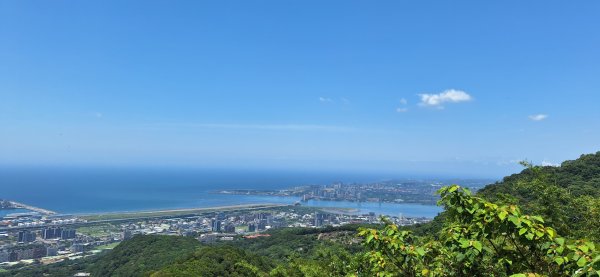 【2024觀音觀鷹尋寶任務】一日走完七條步道完成!2508406