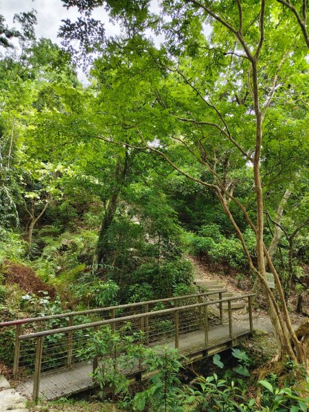 台東．知本國家森林遊樂區202608013115539