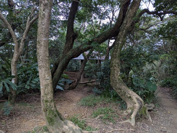 2024-01-28 福州山公園2793301