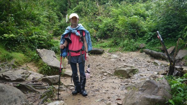松蘿湖單攻登山健行趣（步道）1522370
