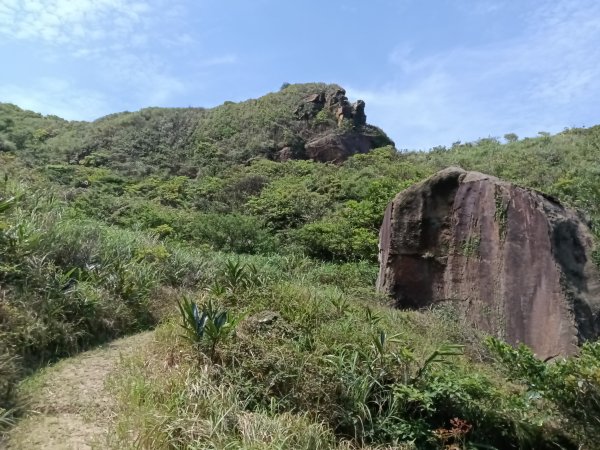 瑞芳區海園古道+鼻頭山稜+門牙岩O型2768344