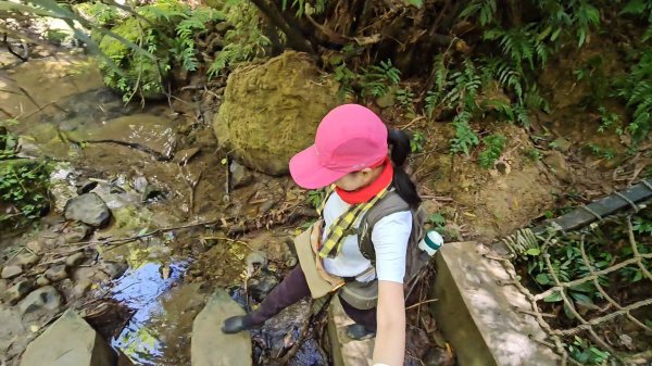 望古瀑布~嶺腳瀑布+深坑美食.阿柔洋.貓空2858432