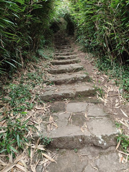 臺北大縱走第二段：二子坪至小油坑2827679