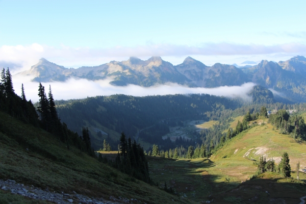 201508美國西部行1雷尼爾山