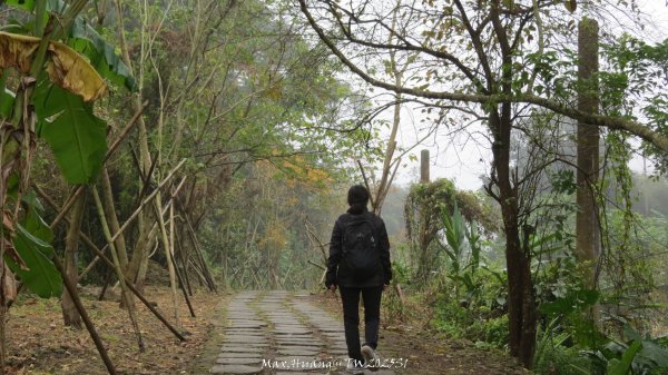 《苗栗》台鐵舊山線｜三義勝興鐵道覓境及挑柴古道O繞202501192693549