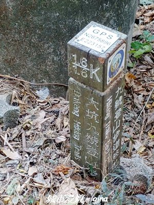 【台中北屯】大坑9-1x9號步道小O繞2945955