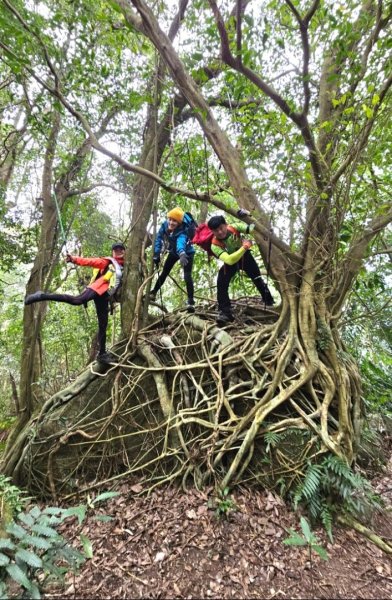 【苗栗郊山聖稜線】仙神象18連峰大縱走2676010
