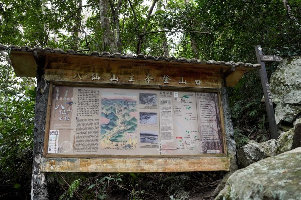 八仙山森林步道2865237