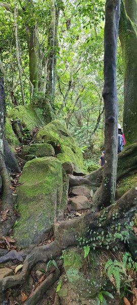 2020-1012 桃園石門山O型1129344