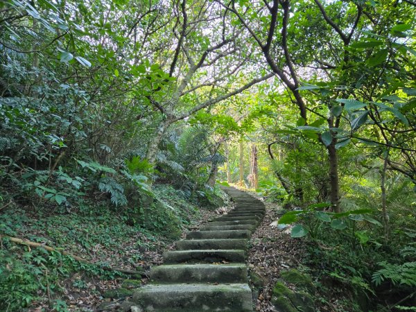槓子寮砲台、槓子寮山步道（龍崗步道）（小百岳）2701999