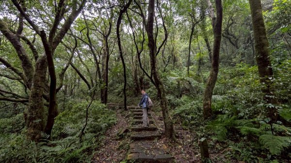 114.11.01旅聯網21週年活動之七星山-七星山東峰-七星公園-夢幻湖2928902
