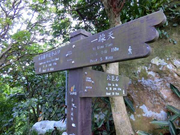 城市裡就能感受山林綠意~象山親山步道778682
