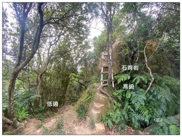 金龍湖、鷹石尖、老鷲尖、內溝山 O型一圈2966618