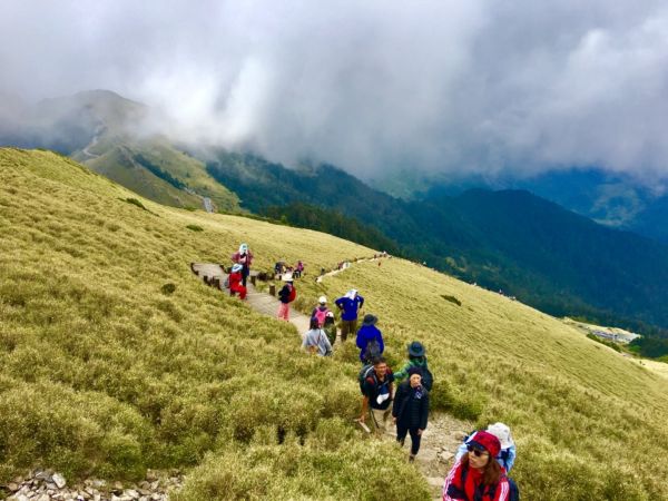 1070512合歡東峰杜鵑花332542