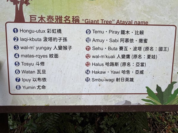 鎮西堡巨木步道B區全段+A區部分3008501