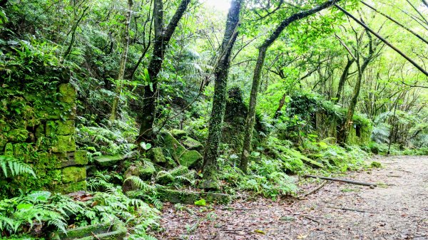 石笋古道,焿子寮古道,松子嶺古道2798329