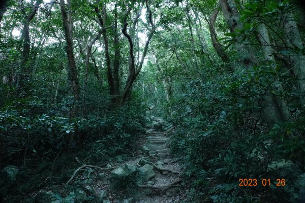 屏東 獅子鄉 里龍山(里隆山、里瀧山、鯉龍山)、下里龍山2018520