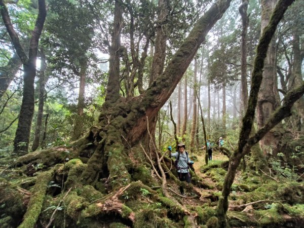 1130511夫拉縱走2500176