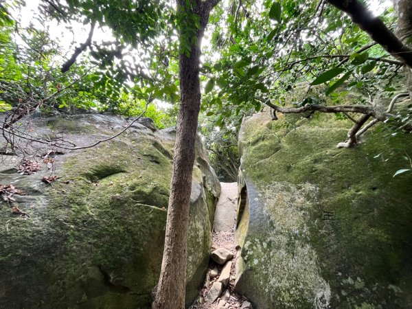 20251101_旗尾山（高雄小百岳）2941396