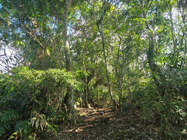 月眉山（小百岳）3000557