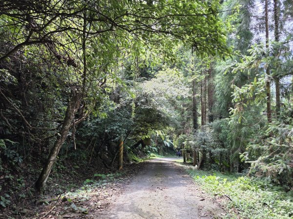 [皮皮獅探險隊-10/10] 2025_0816 白蘭溪古道2862934