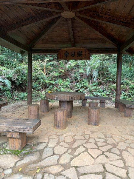 新北 林口 國際AI智慧園區-工一森林小徑-雪花步道-祖師巖登山步道-湖內公園3019086