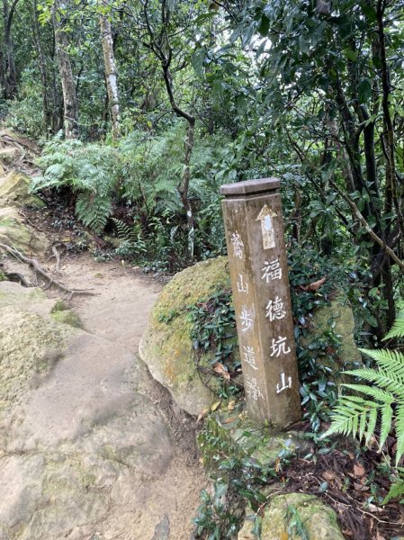 【小百岳集起來】#019 鳶山登山步道1287182